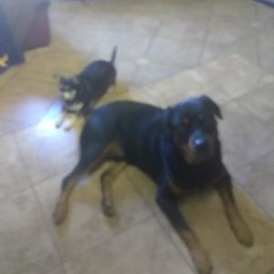 Meet your Posher, James